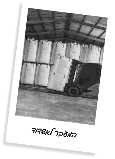 המעבר לאשדוד